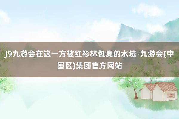 J9九游会在这一方被红衫林包裹的水域-九游会(中国区)集团官方网站