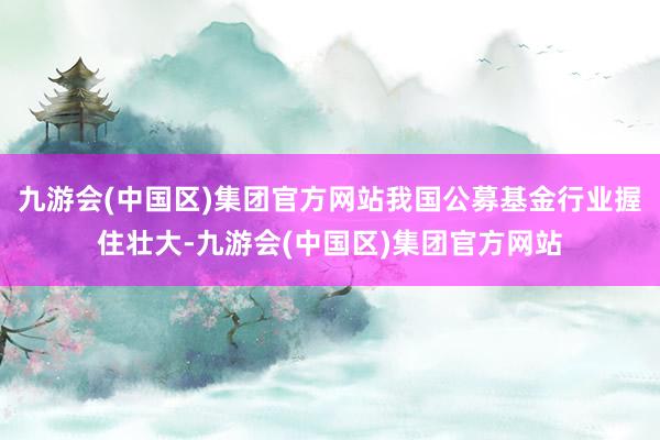 九游会(中国区)集团官方网站我国公募基金行业握住壮大-九游会(中国区)集团官方网站